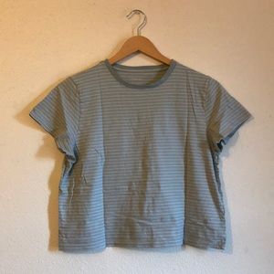 Everlane Organic Cotton Box-Cut Tee in Seaglass / White, Size Large